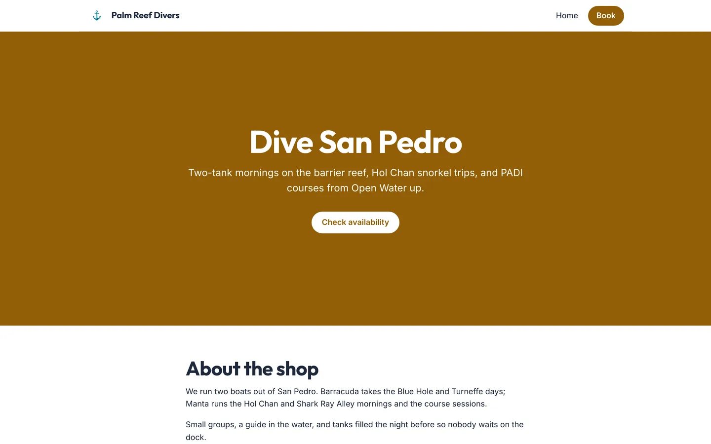 A shop's own page, published from the editor: its colours, what it runs, and a booking button on each activity.